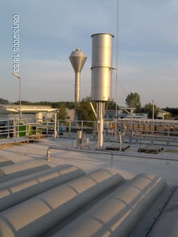 image_ (4)